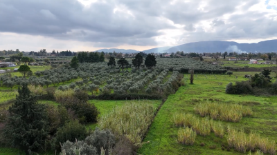 Screenshot-2025-12-15-130433