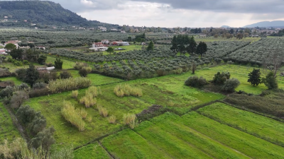 Screenshot-2025-12-15-130508