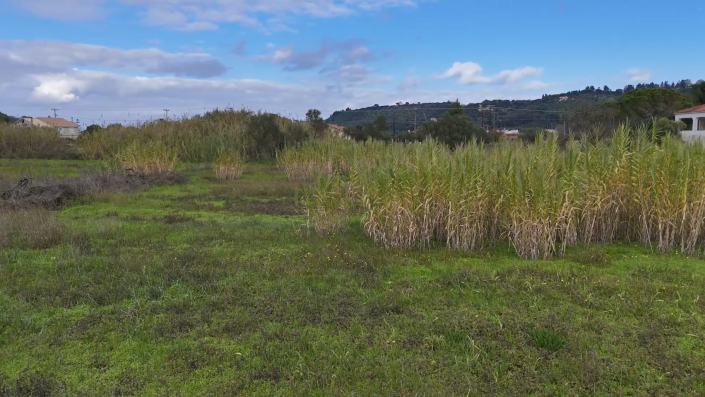 Image No.7-Land for sale