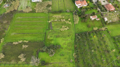 Screenshot-2025-12-15-130604