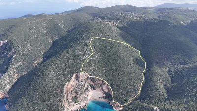 Screenshot-2026-02-04-171155