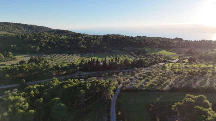 Image No.3-Terre à vendre à Zante