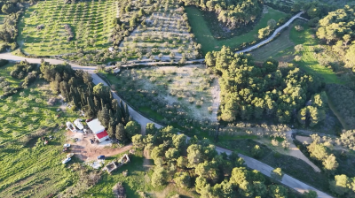 Screenshot-2026-01-20-135935