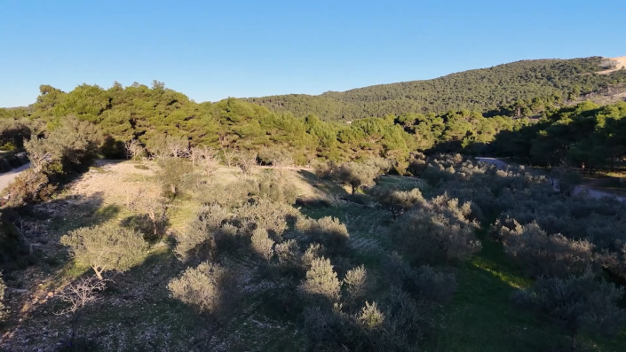 Image No.9-Terre à vendre à Zante