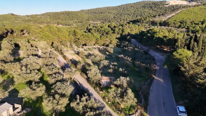 Image No.8-Terre à vendre à Zante