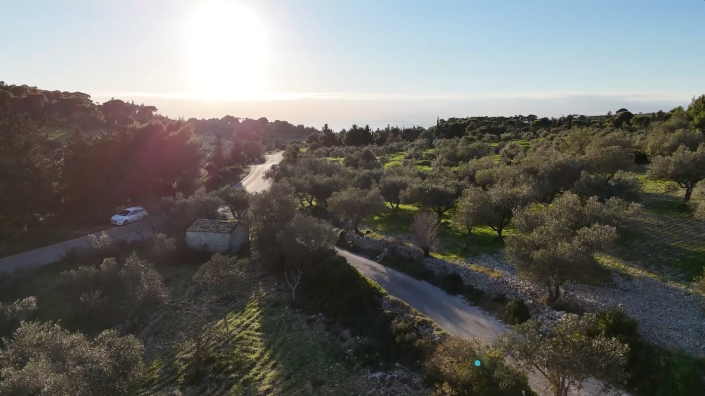 Image No.5-Terre à vendre à Zante