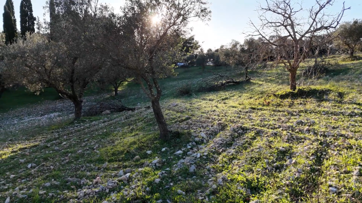 Image No.4-Terre à vendre à Zante