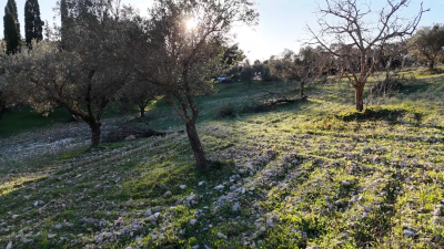 Screenshot-2026-01-20-140050