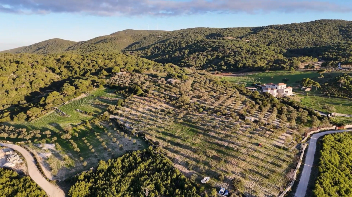 Image No.5-Land for sale