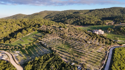 Screenshot-2026-01-20-135034