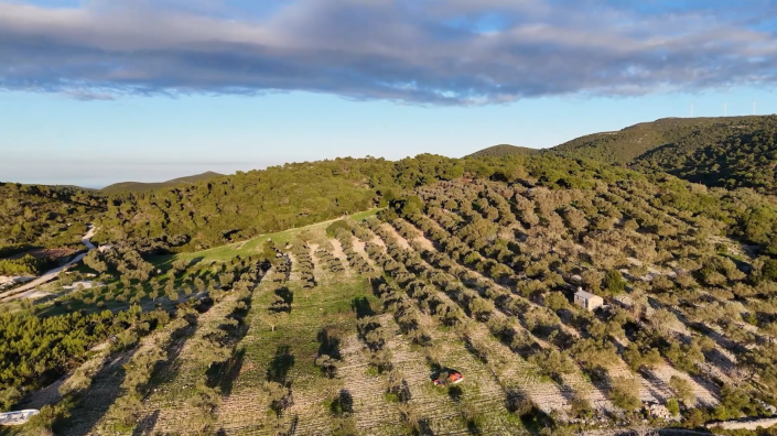 Image No.6-Land for sale