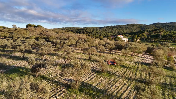 Image No.8-Land for sale