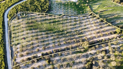 Screenshot-2026-01-20-135129