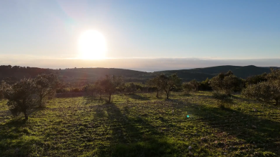 Screenshot-2026-01-20-135204