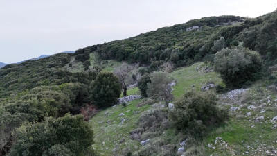 Screenshot-2026-01-23-181822