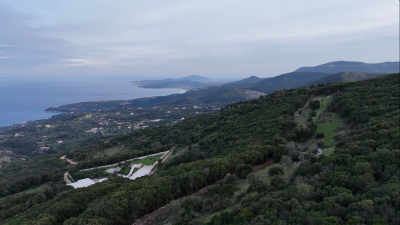 Screenshot-2026-01-23-181842