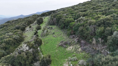 Screenshot-2026-01-23-181831