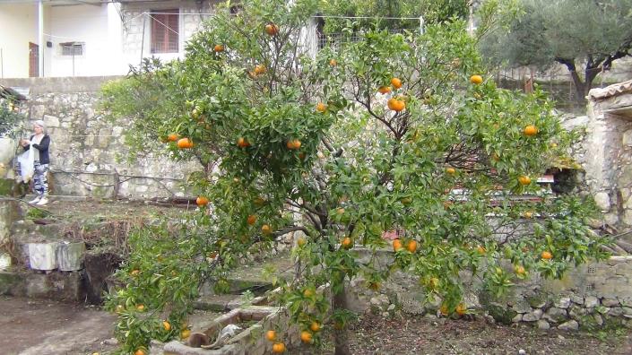 Image No.22-Maison de 4 chambres à vendre à Zante