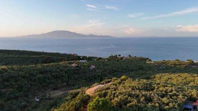 Screenshot-2025-09-04-130624