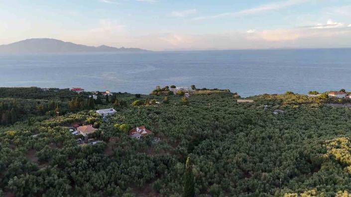 Image No.18-Maison de 1 chambre à vendre à Zante