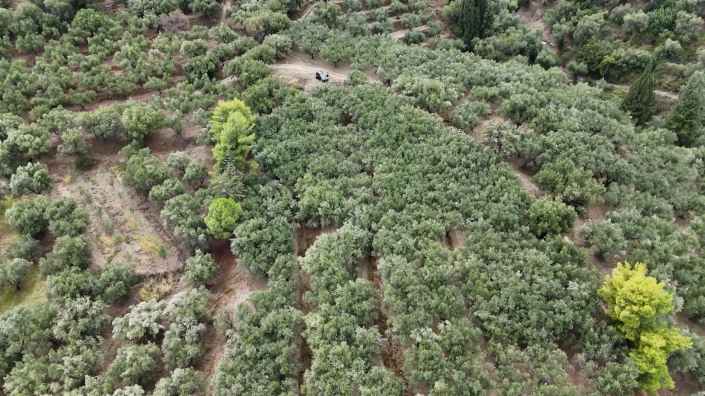 Image No.5-Terre à vendre à Zante