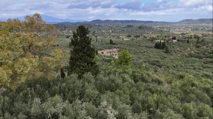 Image No.6-Terre à vendre à Zante