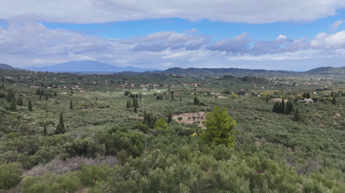 Image No.3-Terre à vendre à Zante