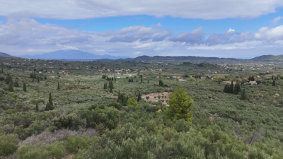 Screenshot-2025-10-06-141321