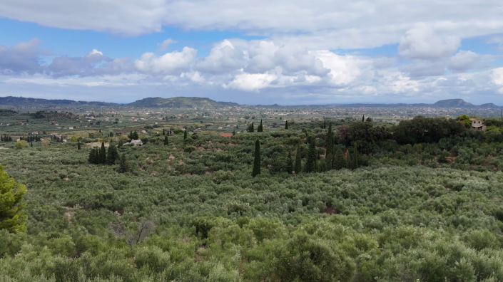 Image No.4-Terre à vendre à Zante