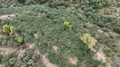 Screenshot-2025-10-06-141404