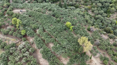 Screenshot-2025-10-06-141423