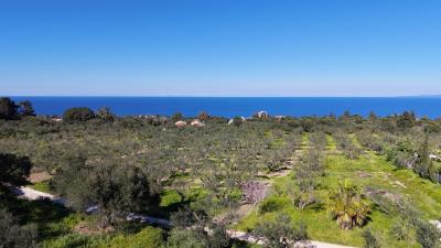 dji_fly_20250320_154220_0074_1742478350941_photo