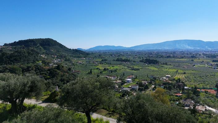 Image No.7-Terre à vendre à Zante