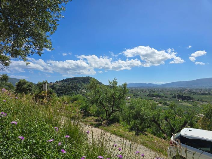 Image No.9-Terre à vendre à Zante