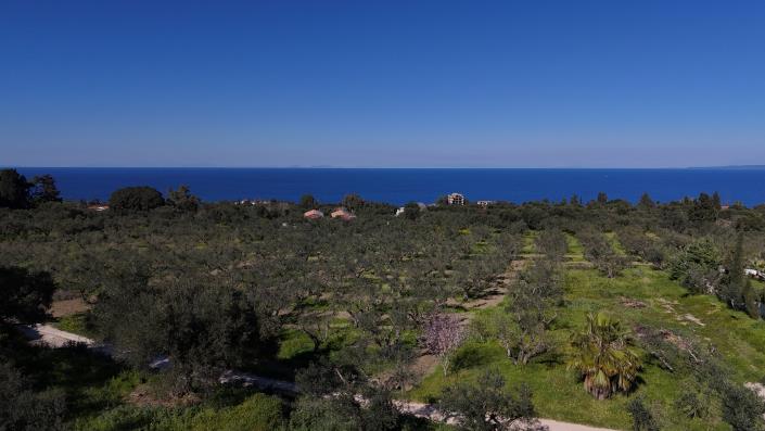 Image No.3-Terre à vendre à Zante