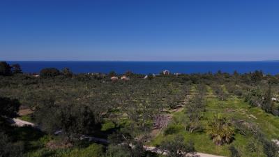 dji_fly_20250320_154220_0074_1742478350941_photo