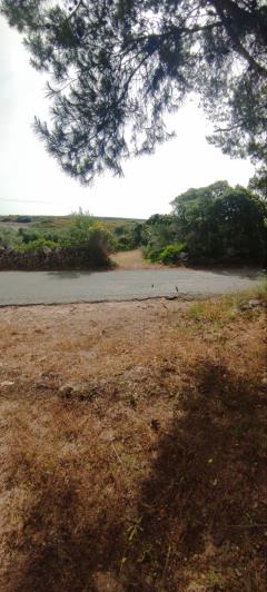 Image No.3-Terre à vendre à Kythira