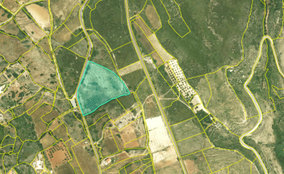 Screenshot-2025-06-09-141030