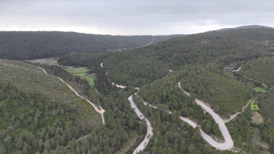 Screenshot-2026-02-26-124254