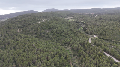 Screenshot-2026-02-26-124307