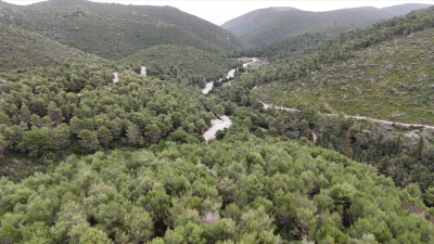 Screenshot-2026-02-26-124343