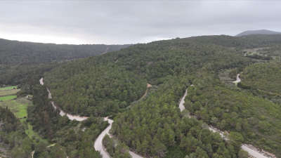 Screenshot-2026-02-26-124359