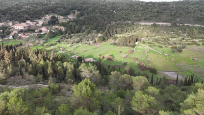 Screenshot-2026-02-26-135309