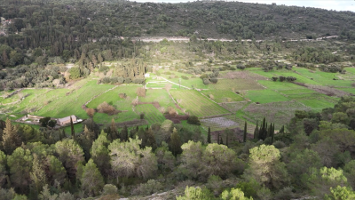 Screenshot-2026-02-26-135321