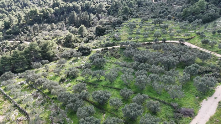 Image No.6-Land for sale