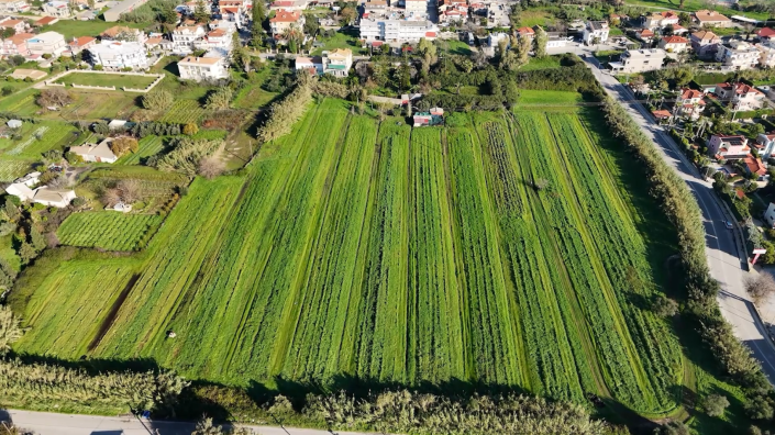 Image No.3-Land for sale