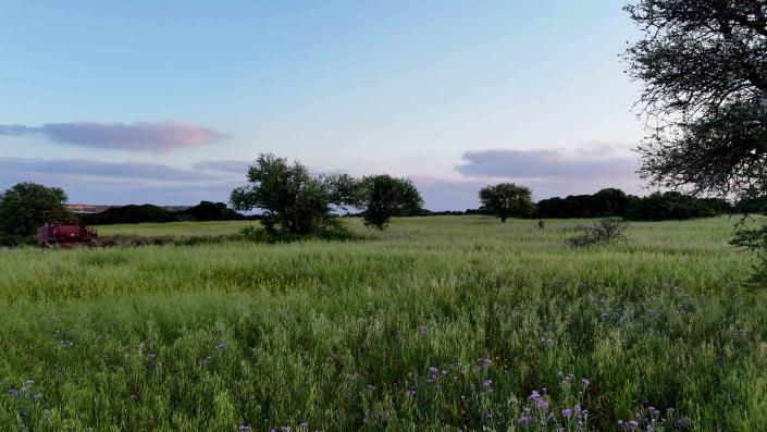 Image No.11-Land for sale
