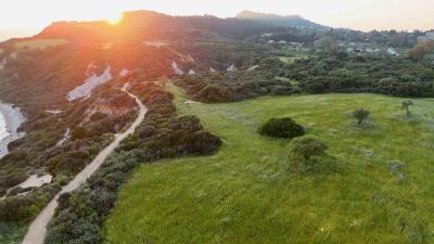 DJI_20260421193632_0171_D-00_01_17_34-Still007