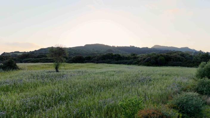 Image No.7-Land for sale