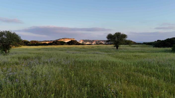Image No.17-Land for sale